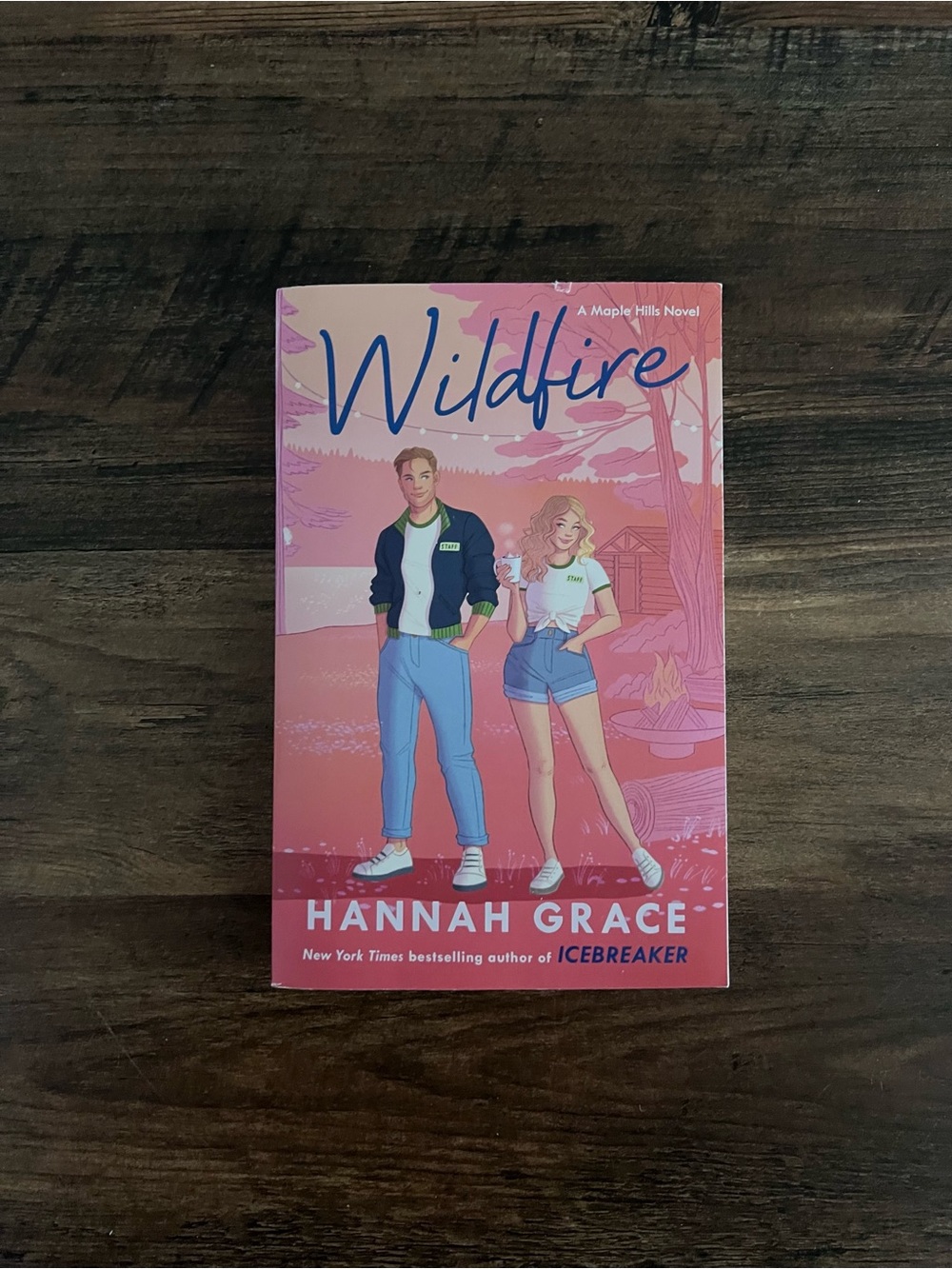 3/$30 🍀 — Paperback — Wildfire by Hannah Grace